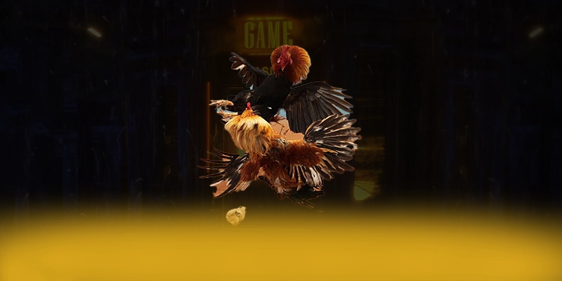 CONGA6789 - Cổng giải trí mượt mà tại Việt Nam