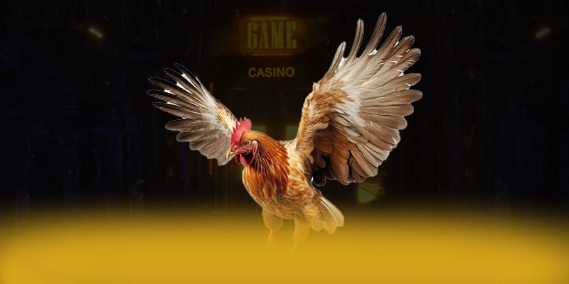 DAGA88 - Ứng dụng giải trí an toàn được người chơi tin dùng – Khám phá DAGA88