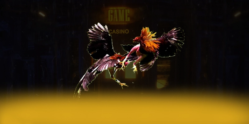 DAGA88 - Cổng trò chơi ổn định trong giới game thủ