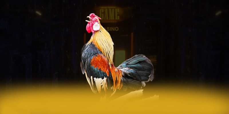 CONGA6789 - Cổng giải trí được đánh giá cao hiện nay CONGA6789 - Cổng giải trí được đánh giá cao hiện nay