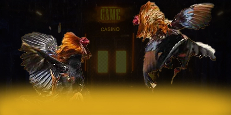 KUWIN – Thương hiệu đáng chơi nhất, đang làm mưa làm gió trên thị trường. KUWIN – Thương hiệu đáng chơi nhất, đang làm mưa làm gió trên thị trường.