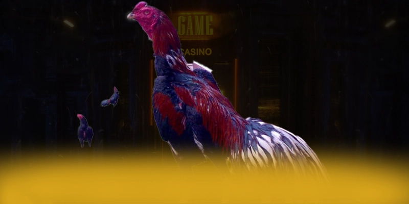 VWIN - Tổng kết theo đánh giá từ người dùng.