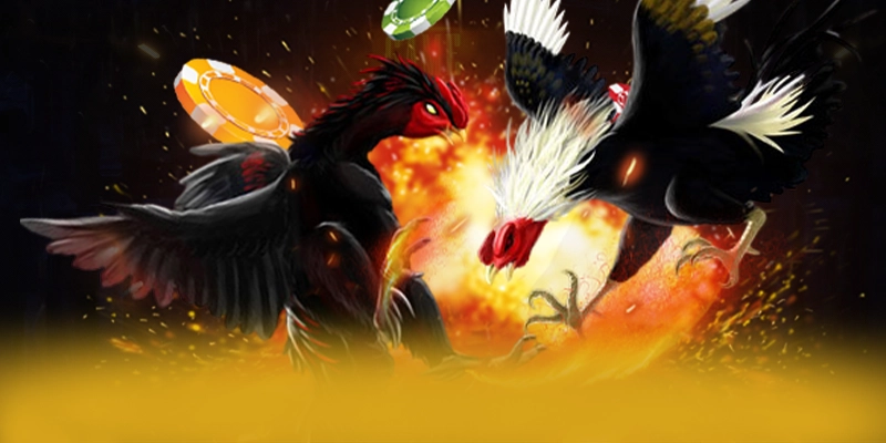 
Khám phá thế giới của LC88 - Sân chơi được yêu thích nhất trên thị trường
