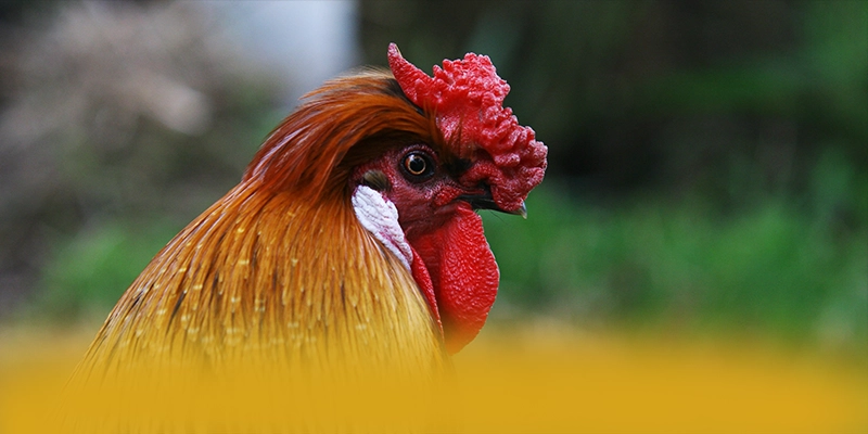 GO8 - Sảnh game được yêu thích 2025 – Khám phá GO8 GO8 - Sảnh game được yêu thích 2025 – Khám phá GO8