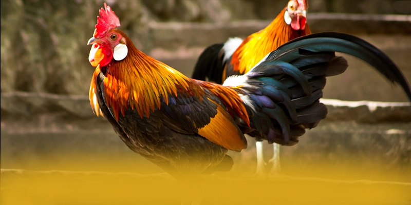 tài xỉu online - Thương hiệu mang đến thế giới game đa dạng được đánh giá cao – Tìm hiểu tài xỉu online