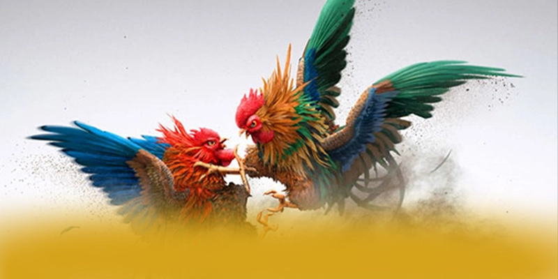 FAFA191 - Ứng dụng giải trí sở hữu kho game phong phú trong cộng đồng game thủ – Khám phá thế giới giải trí tại FAFA191 FAFA191 - Ứng dụng giải trí sở hữu kho game phong phú trong cộng đồng game thủ – Khám phá thế giới giải trí tại FAFA191