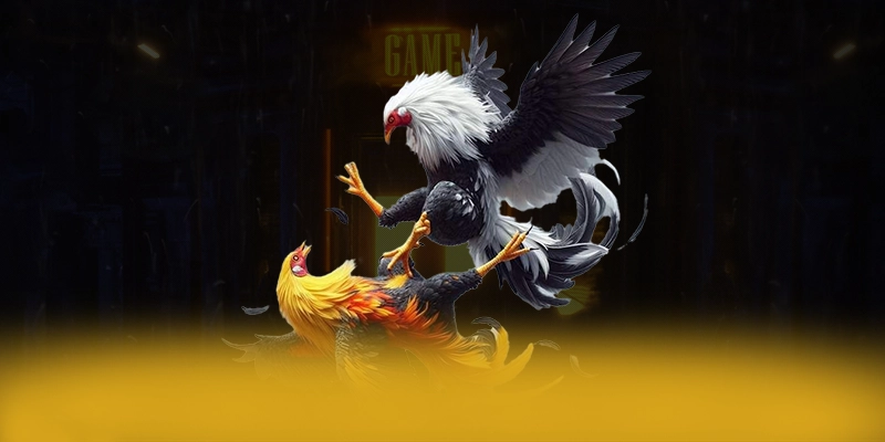 DAGA88 - Nhận định cuối cùng từ cộng đồng game thủ.