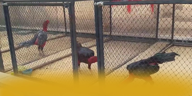 WIN79 - Cổng game hấp dẫn 2025 – Trải nghiệm WIN79