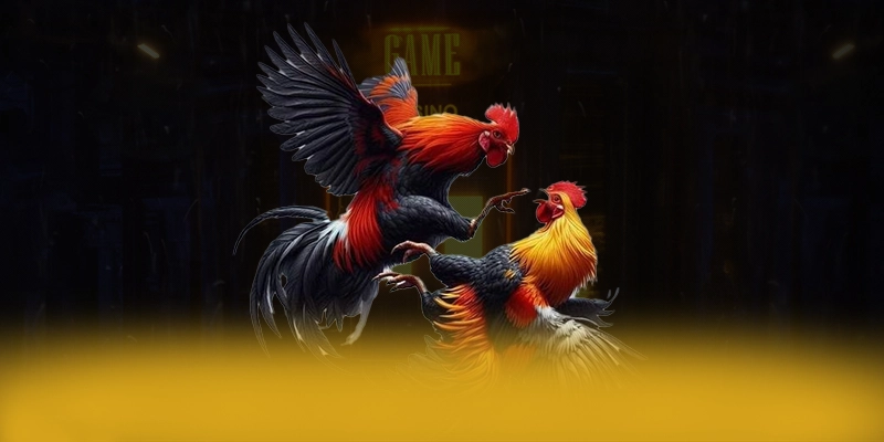 RR99 – Thương hiệu uy tín, được cộng đồng game thủ tin tưởng.