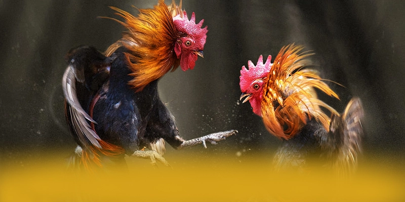 KKWIN - Sảnh game được yêu thích hiện nay – Tìm hiểu khuyến mãi độc quyền của KKWIN KKWIN - Sảnh game được yêu thích hiện nay – Tìm hiểu khuyến mãi độc quyền của KKWIN